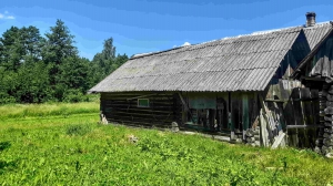 Крепкий домик хуторного типа, 1 гектар земли  - миниатюра-3 (Опочка)