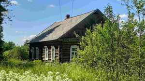 Большой зимний дом хуторного типа, 1 гектар земли  - миниатюра-0 (Опочка)