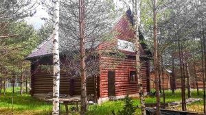 Бревенчатый дом в хвойном лесу у живописного озера  - миниатюра-0 (Псков)