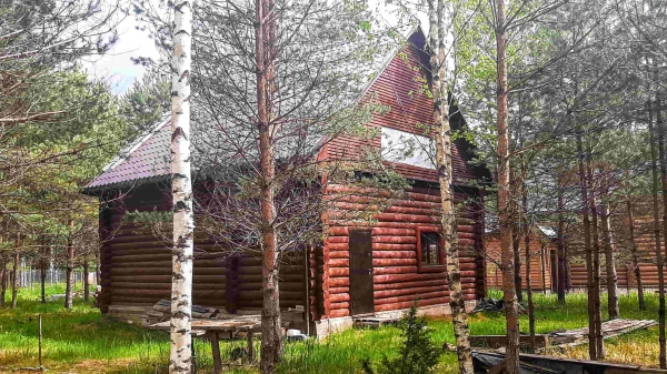 Бревенчатый дом в хвойном лесу у живописного озера  (Псков)