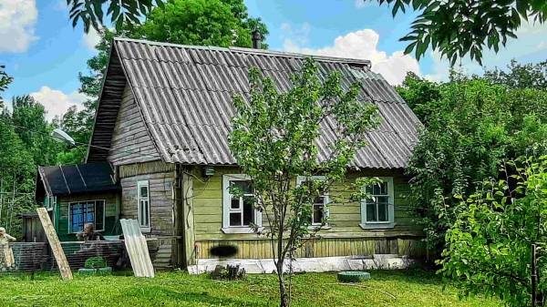 Крепкий домик с хорошей баней в хуторного типа деревушке под Псковом (Псков)
