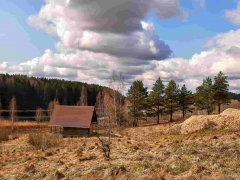 Продаётся уютный земельный участок под строительство у озера - миниатюра-1 (Печоры)