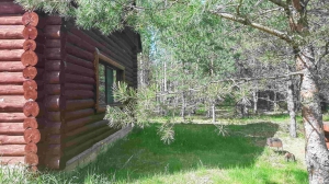 Бревенчатый дом в хвойном лесу у живописного озера  - миниатюра-2 (Псков)
