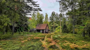 Домик на эстонском хуторе в хвойном лесу под Старым Изборском  - миниатюра-2 (Печоры)