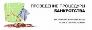 Списание долгов. кредитов с гарантией. банкротство - миниатюра-0 (Екатеринбург)