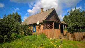 Добротный дом с хоз-вом и баней на хуторе под Псковскими Печорами 