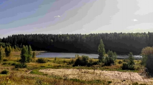 Шикарный участок рядом с озером под Печорами  - миниатюра-3 (Псков)