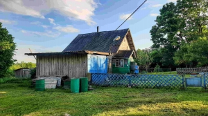Крепкий домик с хорошей баней в хуторного типа деревушке под Псковом - миниатюра-4 (Псков)