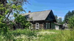 Большой зимний дом хуторного типа, 1 гектар земли  - миниатюра-3 (Опочка)