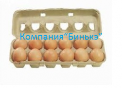 Линия по производству бугорчатой прокладки для яиц - миниатюра-2 (Барнаул)