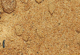 Песок сеяный. - миниатюра-1 (Одинцово)