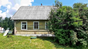 Крепкий домик с хорошей баней в хуторного типа деревушке под Псковом - миниатюра-1 (Псков)