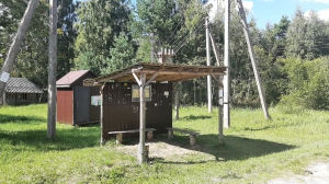Участок 30 соток в уютной березовой роще под Псковом в СНТ Ветеран - миниатюра-1 (Псков)