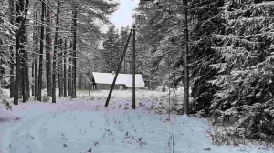Домик на эстонском хуторе в хвойном лесу под Старым Изборском  - миниатюра-1 (Печоры)