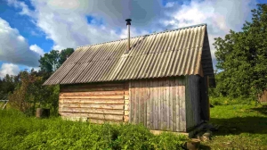 Добротный дом с хоз-вом и баней на хуторе под Псковскими Печорами  - миниатюра-3 (Печоры)