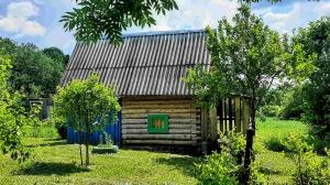 Крепкий домик с хорошей баней в хуторного типа деревушке под Псковом - миниатюра-3 (Псков)