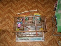 Клетка для средних птиц - миниатюра-0 (Москва)